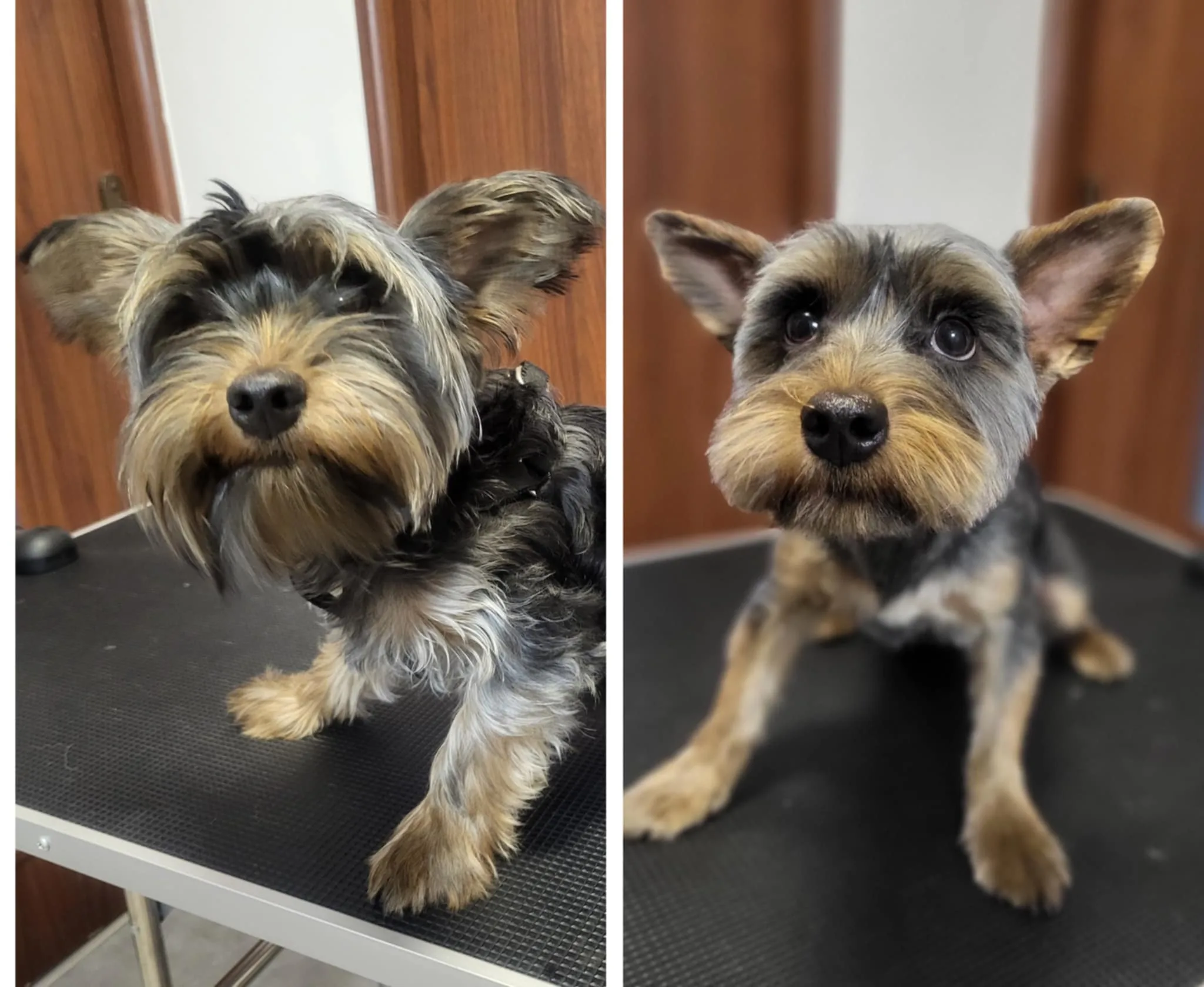 York „przed i po”